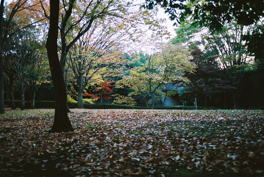 Park