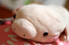 ぶっちゃん。