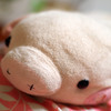 ぶっちゃん。