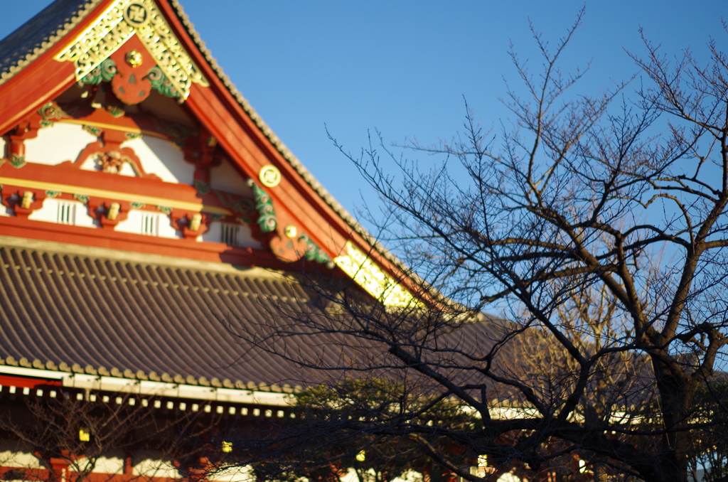 浅草寺、本堂。