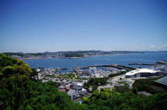 IMGP5051