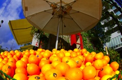 オレンジがいっぱい