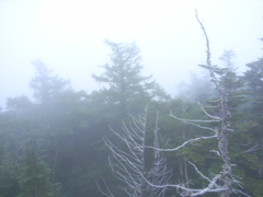 富士山歩