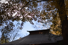 中尊寺の紅葉