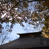 中尊寺の紅葉