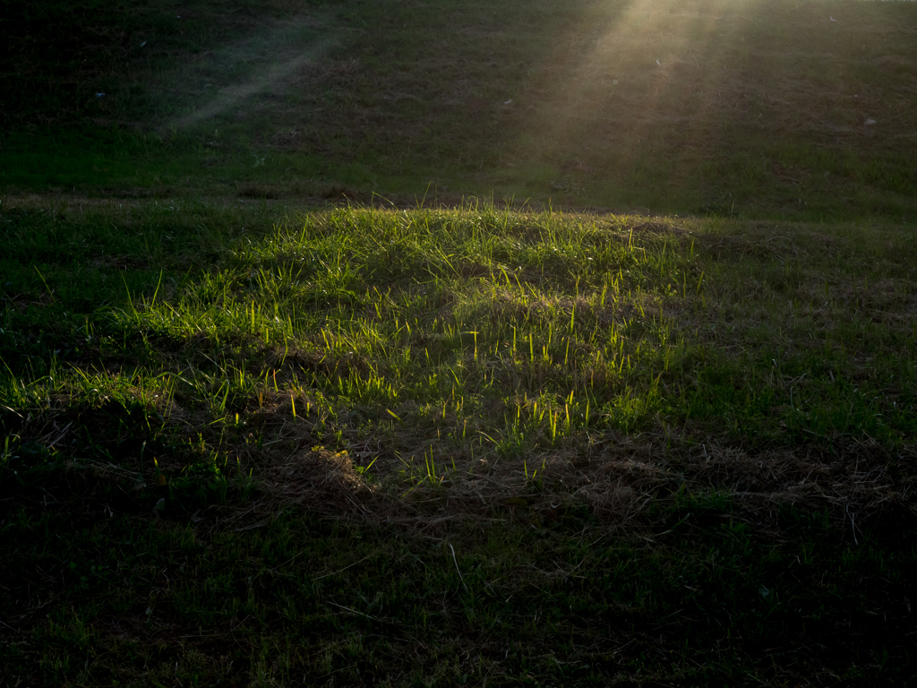 Sunshine
