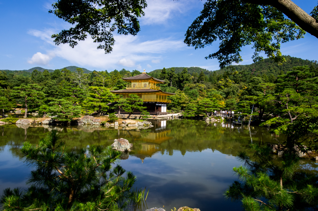 金閣寺（夏）