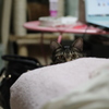呼んだ？