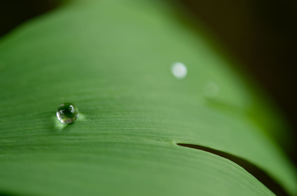 雨あがり