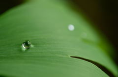 雨あがり