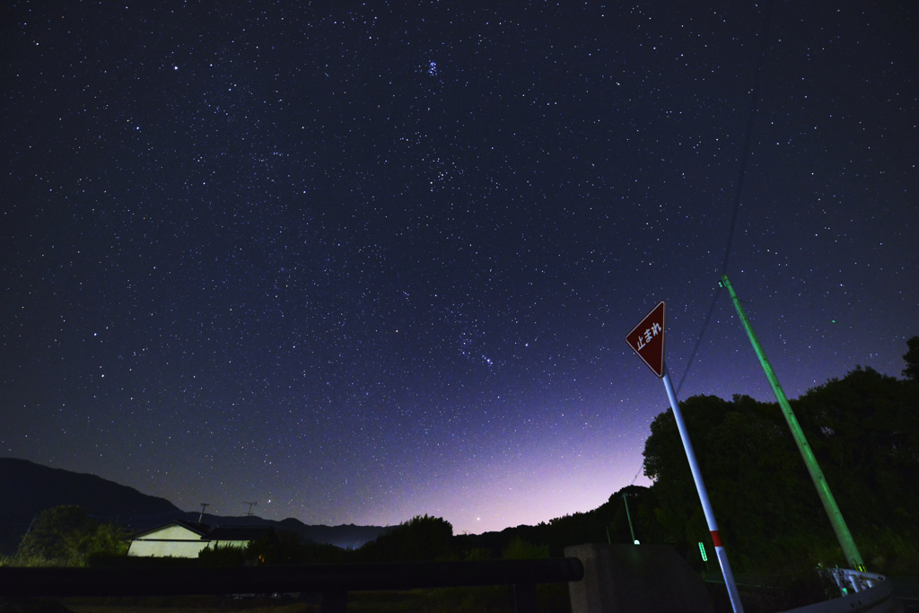 星が落ちそうな夜