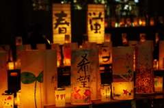 春蛍