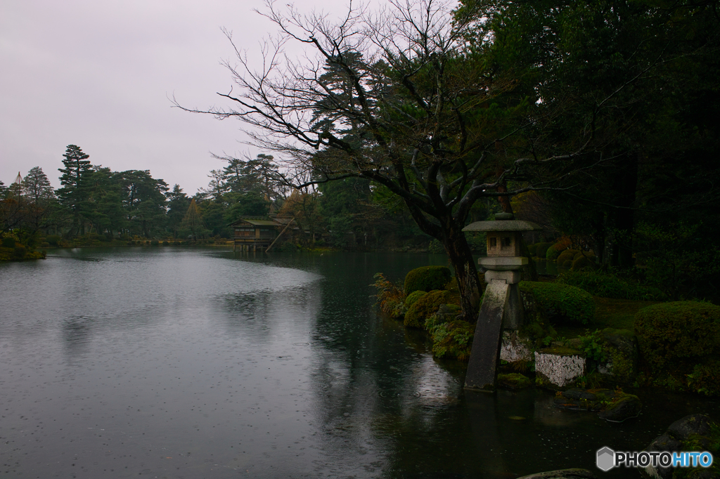 雨の兼六園