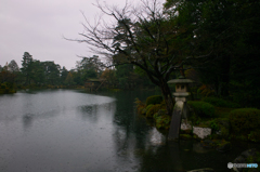 雨の兼六園