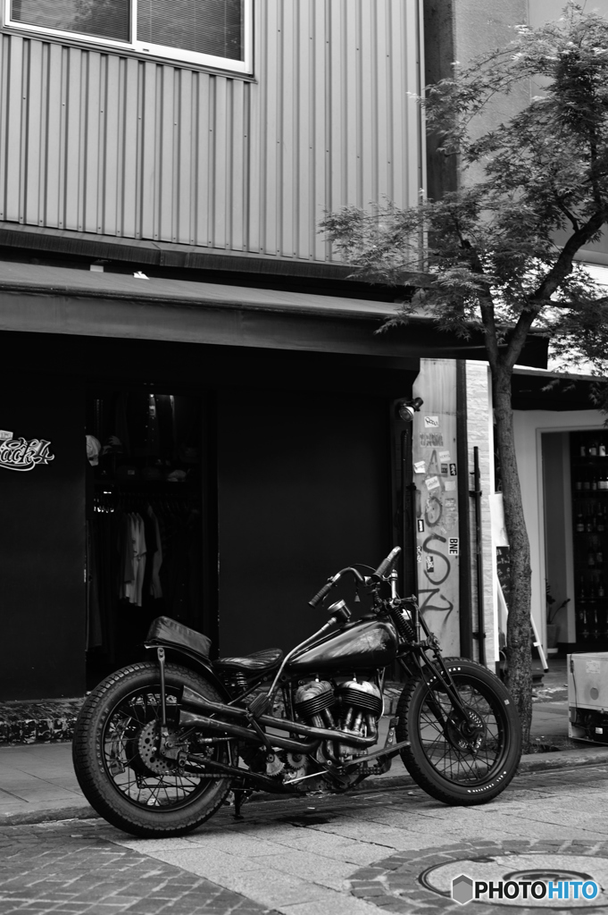 熊本スナップ３