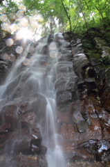 マル絞りがいいんだけどな