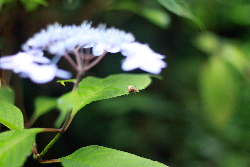 みつかっちゃった