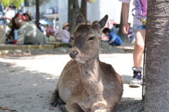 何か用？？