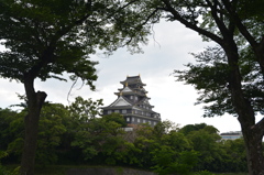 後楽園から覗く岡山城