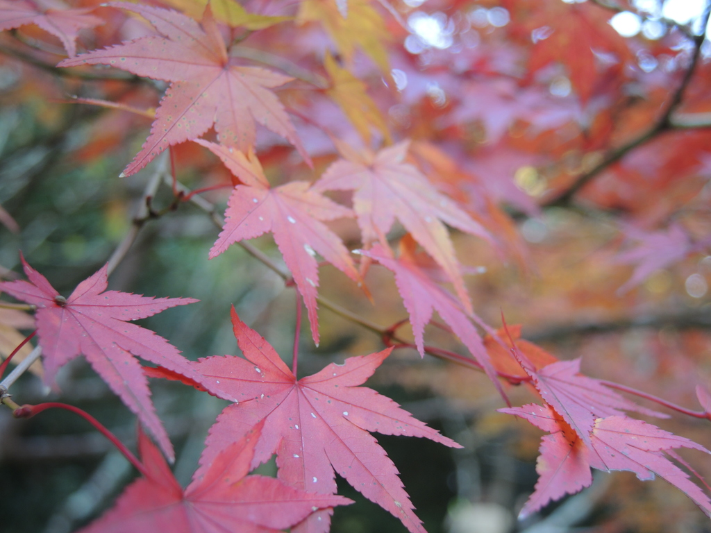 佛通寺2