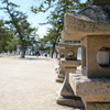 厳島神社付近