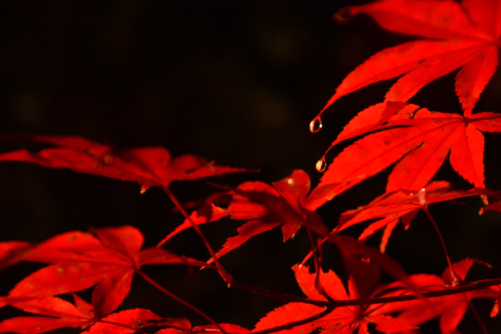 雨の中で