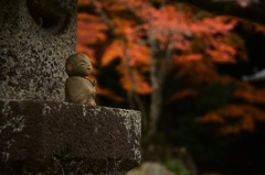 こんなところに！