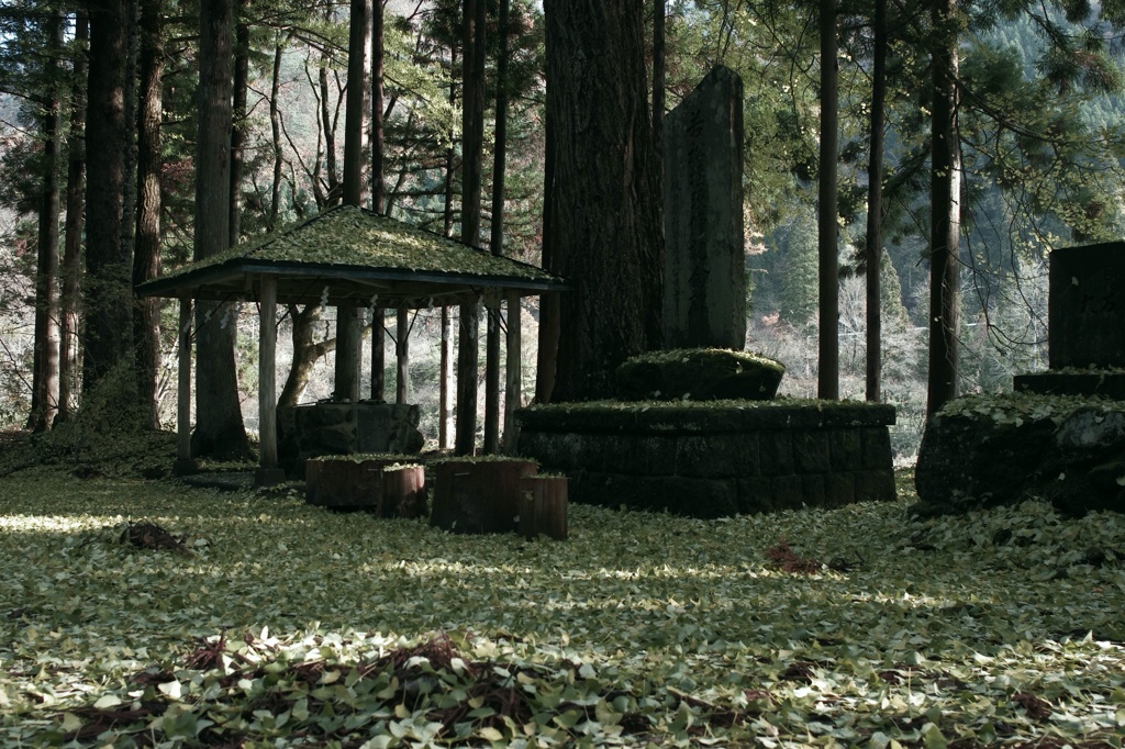 into the green