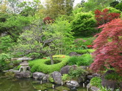長谷寺の緑あふれる庭園