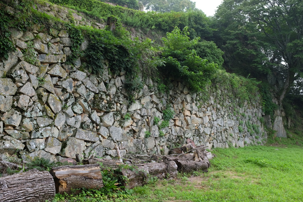 備中松山城の石垣