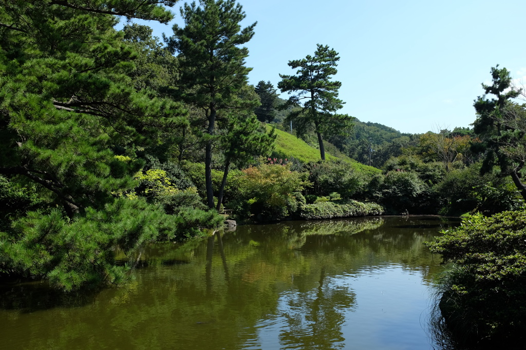 小室山公園の池と緑