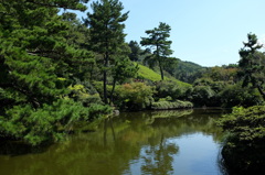 小室山公園の池と緑