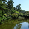 小室山公園の池と緑