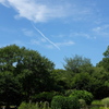 緑と青空と飛行機雲 