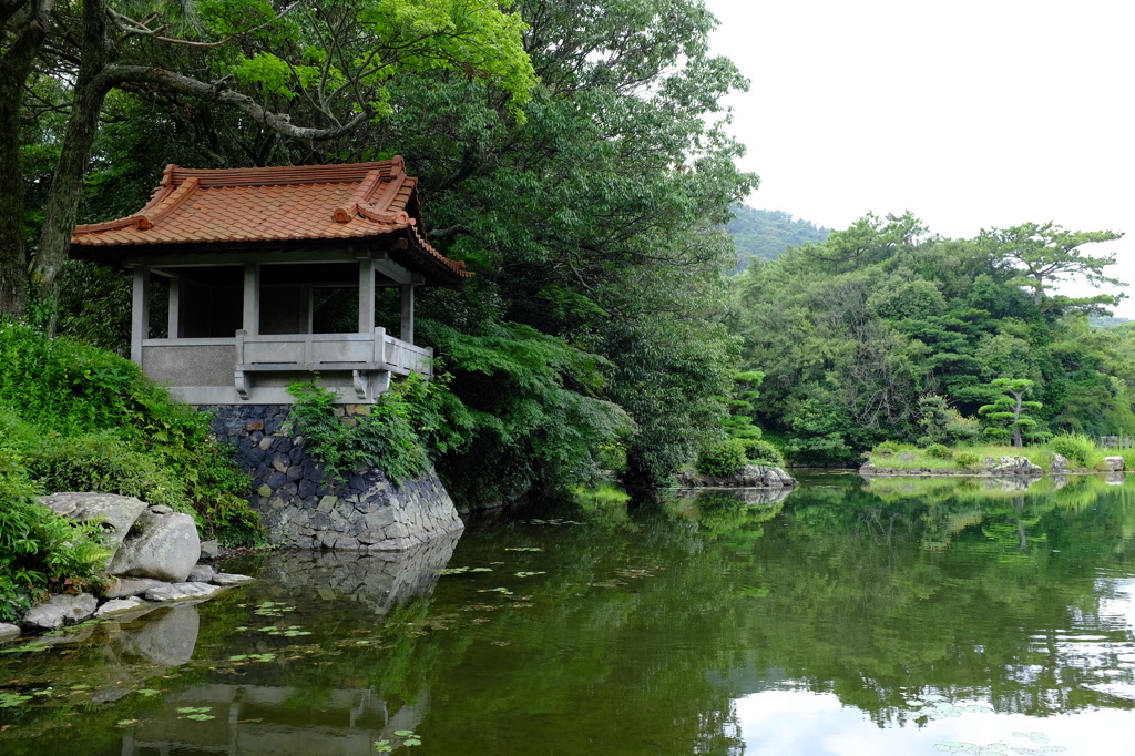 栗林公園の池