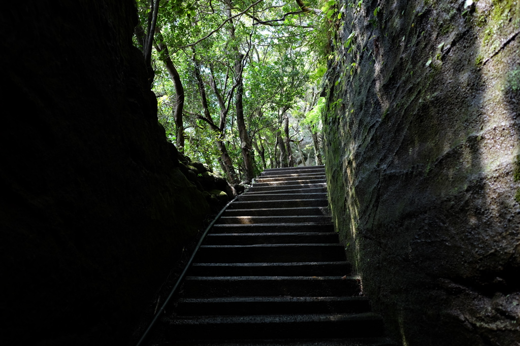 日本寺の通天関