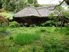 浄智寺の緑の庭