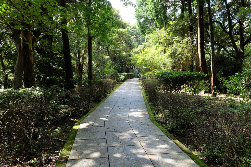 日本寺のあふれる緑