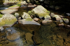 滑沢川の透き通る水