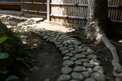 庭園の石畳