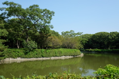 名城公園の池と緑