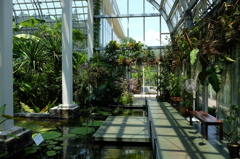 牧野植物園の温室