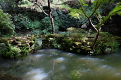 水面に映る斜陽