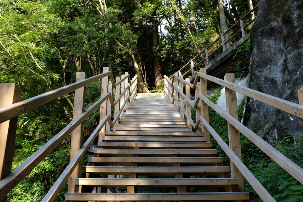 河津七滝ハイキングコースの階段 By やすりん Id 写真共有サイト Photohito