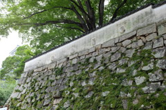 岡山城の石垣と土塀 
