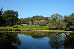 公園の池と緑