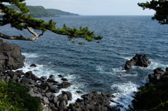 城ケ崎海岸