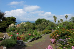 伊豆四季の花公園