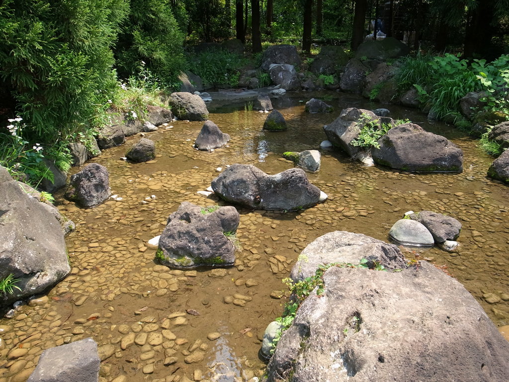 石の多い川