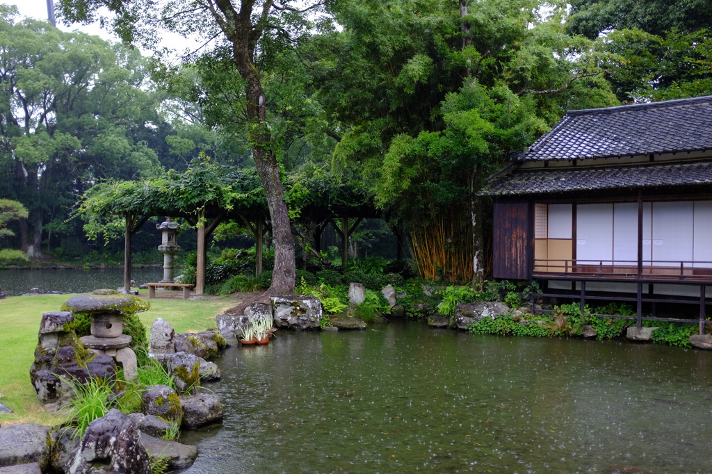 雨の中の天赦園